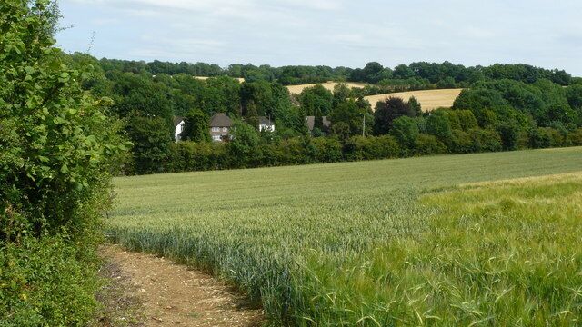 View at Hooley, Surrey Looking across the field to the wooded valley. To the right of picture, hidden amongst the trees, is the A23/M23 junction.
