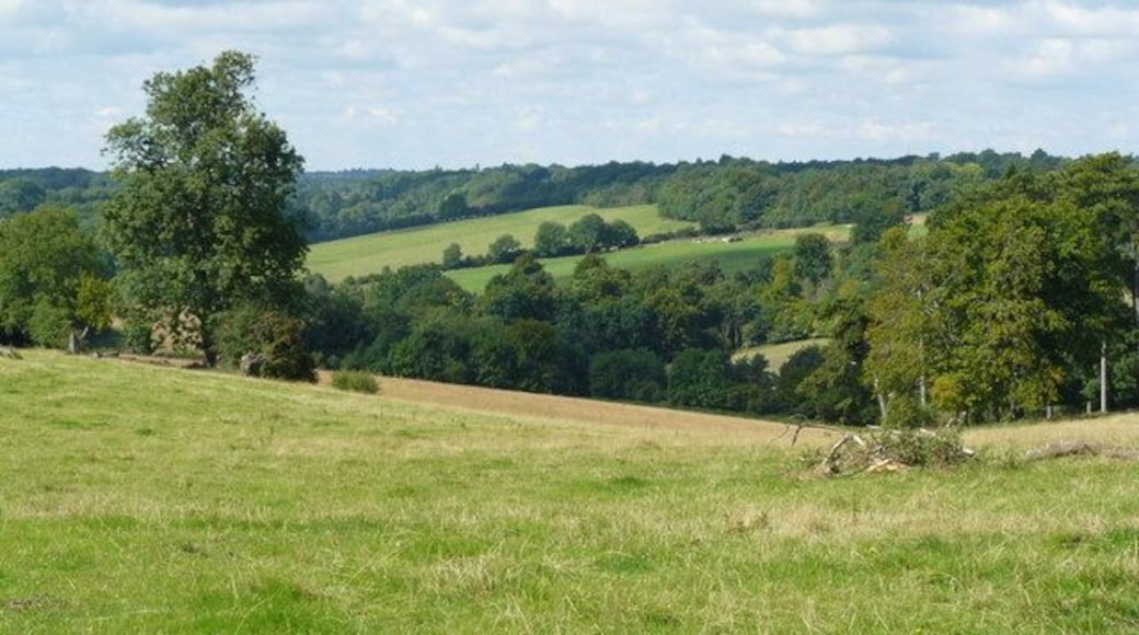 View From White Hill Photograph taken from the short footpath which connects High Road to White Hill