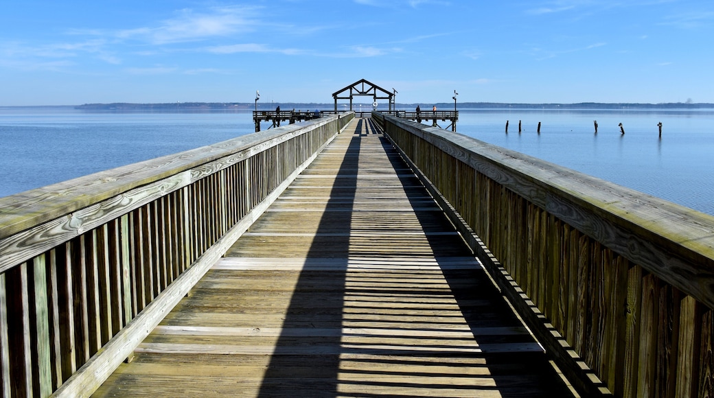 A wooden pier extending into calm water with a clear sky.