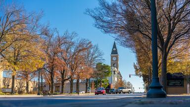 Fayetteville Arkansas Downtown Washington County Court House NWA