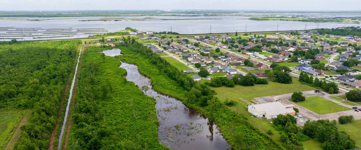 A river flowing through a densely forested area with a residential neighborhood in the background.