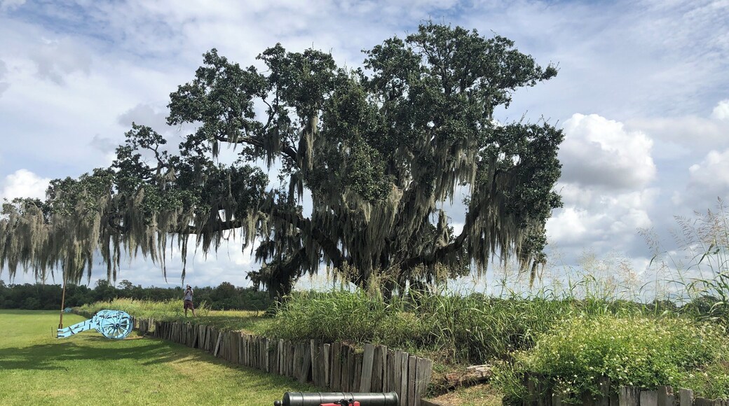 Just down river from New Orleans. Peaceful spot remembering the Battle of New Orleans in the War of 1812.