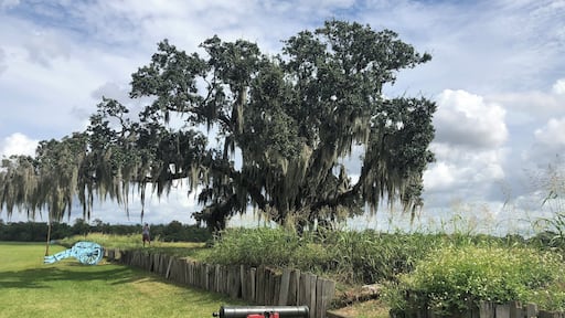Just down river from New Orleans. Peaceful spot remembering the Battle of New Orleans in the War of 1812.