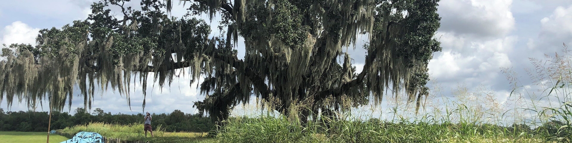 Just down river from New Orleans. Peaceful spot remembering the Battle of New Orleans in the War of 1812.