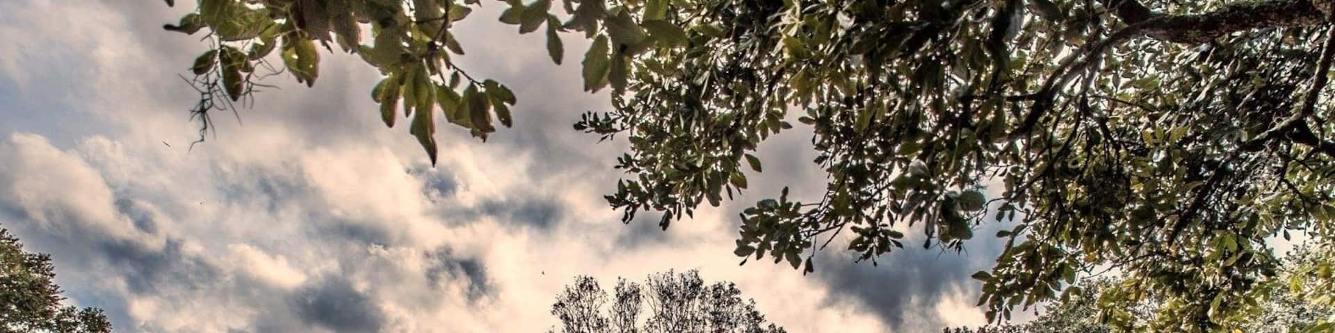 The last land battle ever fought on American soil between the United States and a foreign enemy took place on January 8, 1815 in Chalmette just outside of New Orleans on a site now known as The Chalmette Battlefield. The Battle of New Orleans... great hiking and exploring for a day!