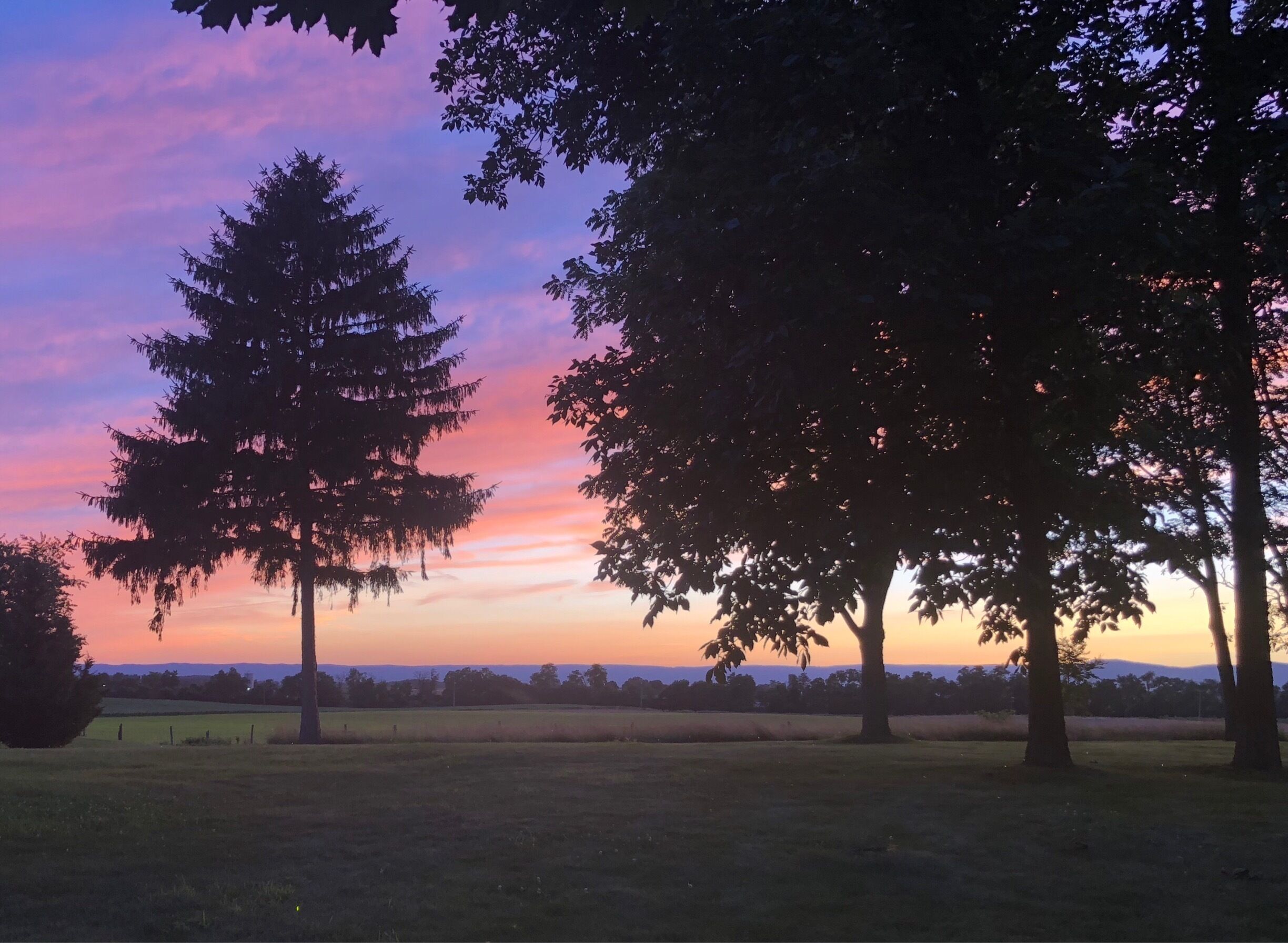 My new favorite sunset spot. They don’t show in smartphone photos, but there are millions of fireflies every night. Doesn’t get much better. 