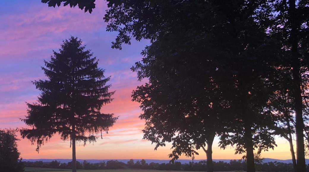 My new favorite sunset spot. They don’t show in smartphone photos, but there are millions of fireflies every night. Doesn’t get much better.