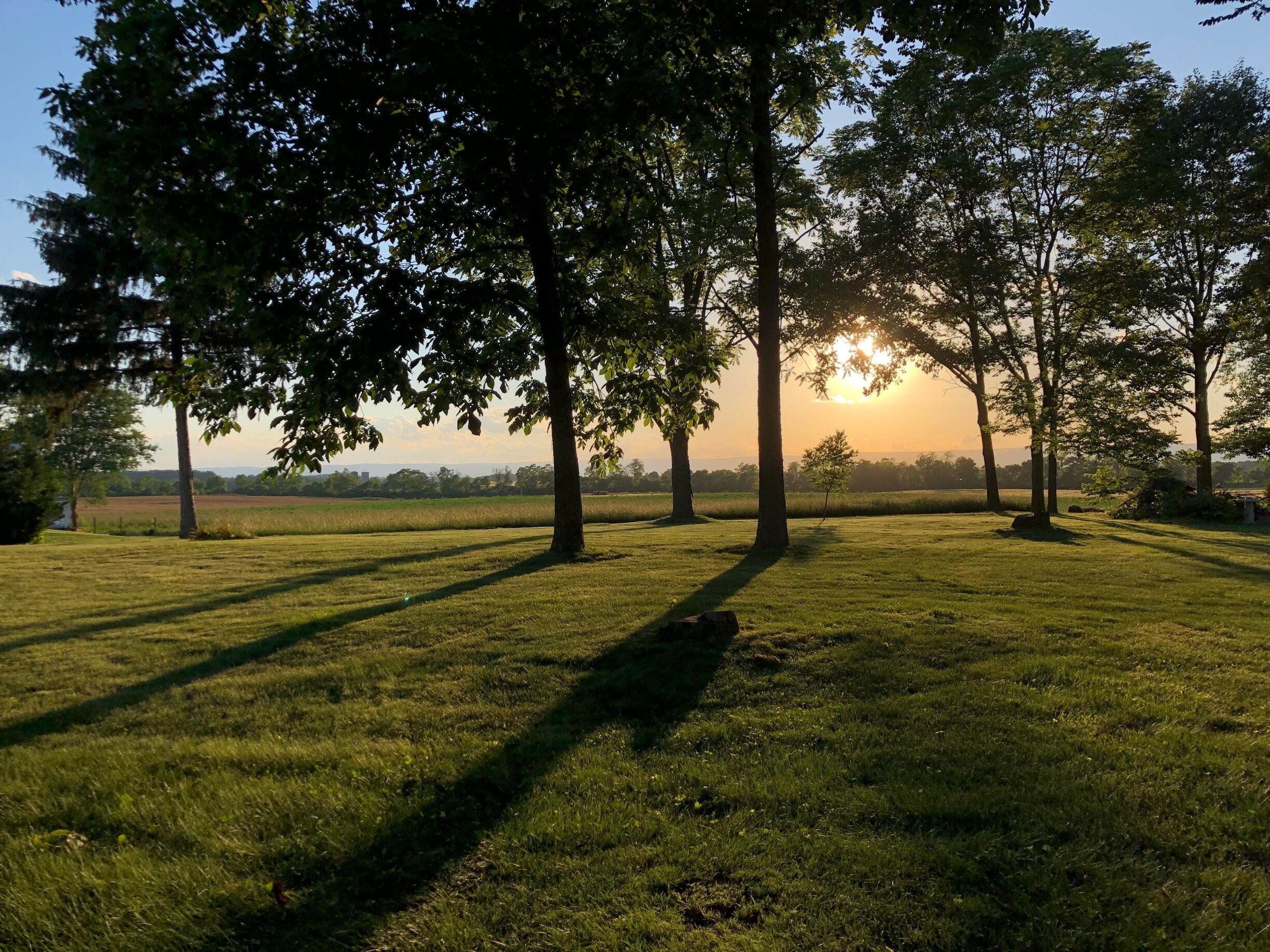 Kick back and enjoy a great show with a constant breeze. Gotta love summer. 