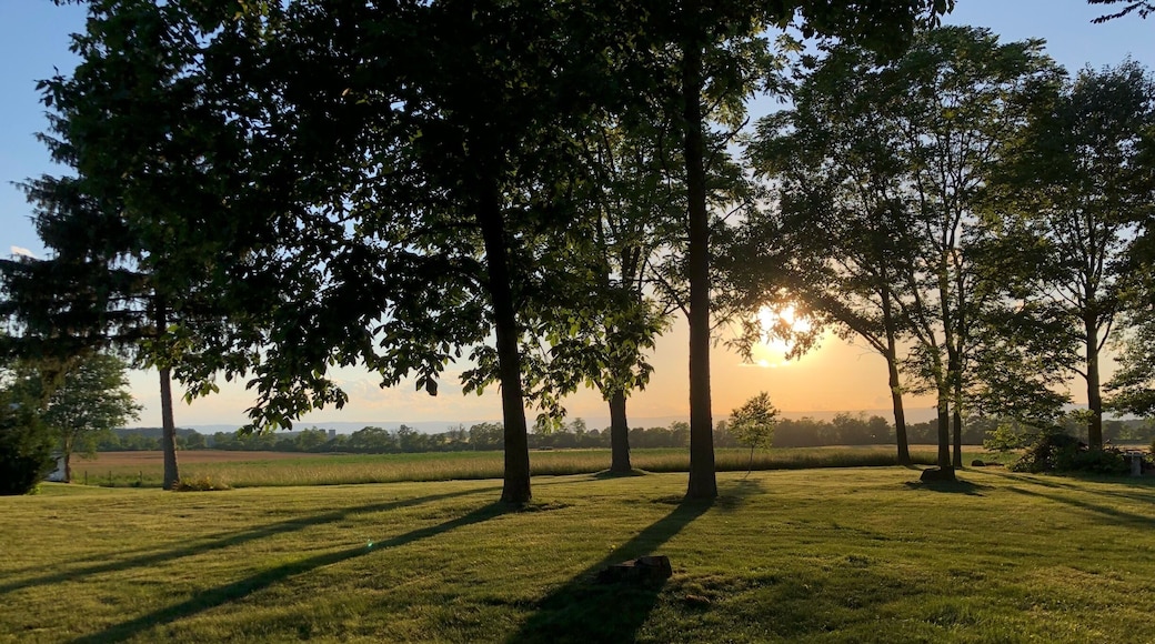 Kick back and enjoy a great show with a constant breeze. Gotta love summer.