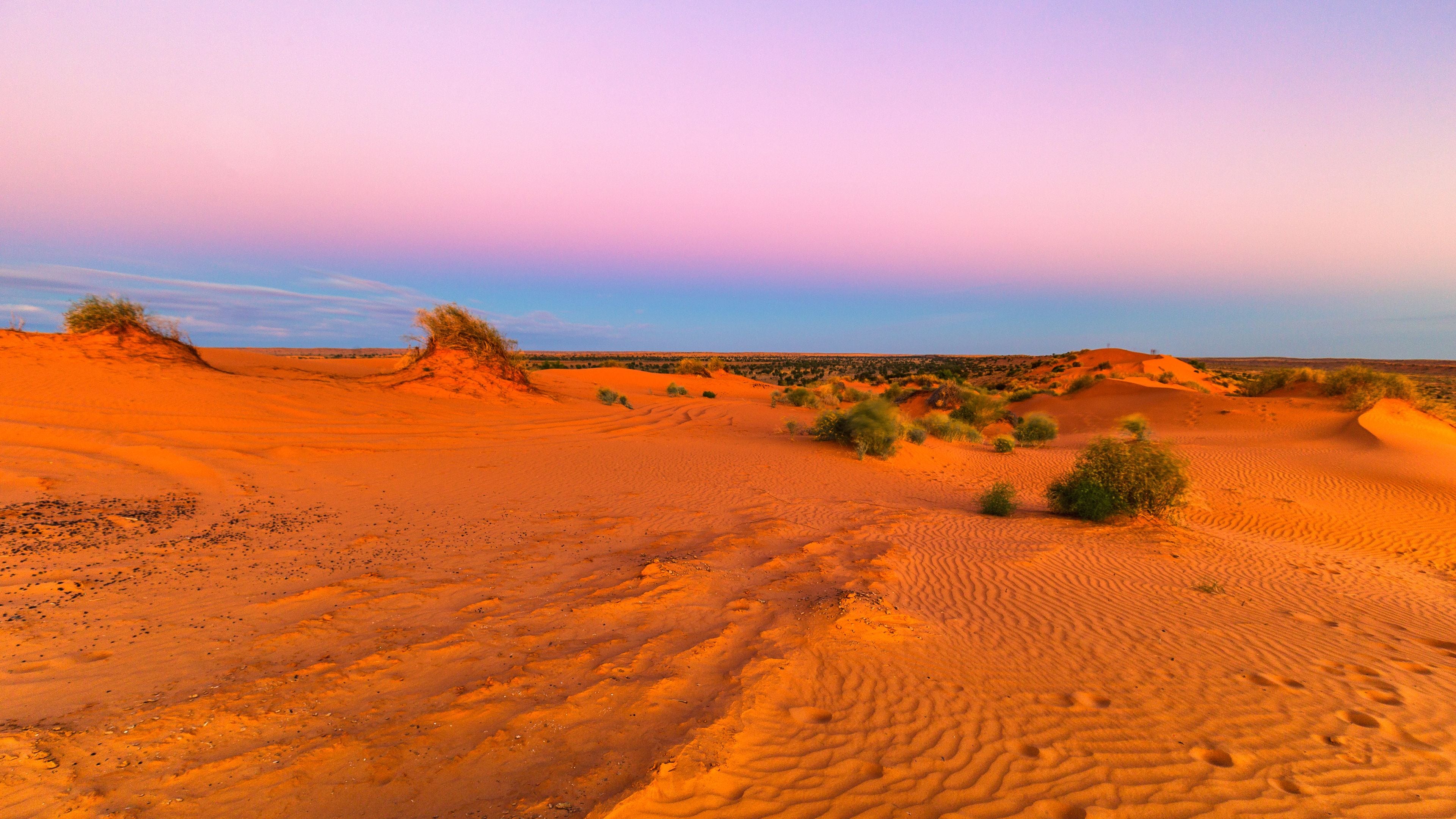 A desert landscape with sand dunes and sparse vegetation.