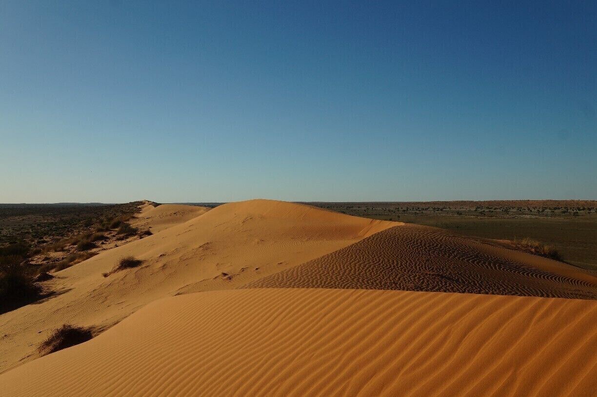 Big Red is the tallest of the 1140 dunes that  stretch their way from the Simpson Desert. It's also on the edge of the desert, so you can visit Big Red without having to equip your car for the desert. (Regulations state that if you are going into the desert you must have flags on your vehicle.)
The best time to be here is either sunrise or sunset so you can see the colours change on the dune. I choose sunset, and took a bottle of wine with me.
#nationalpark
Read more:  http://pegsontheline.com/big-red/ 
