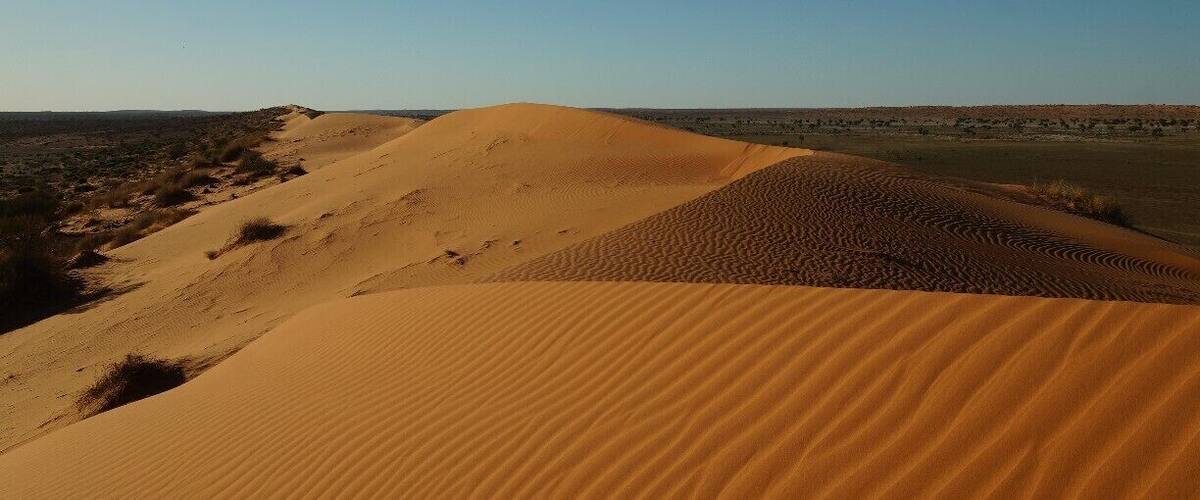 Big Red is the tallest of the 1140 dunes that stretch their way from the Simpson Desert. It's also on the edge of the desert, so you can visit Big Red without having to equip your car for the desert. (Regulations state that if you are going into the desert you must have flags on your vehicle.)
The best time to be here is either sunrise or sunset so you can see the colours change on the dune. I choose sunset, and took a bottle of wine with me.
#nationalpark
Read more: http://pegsontheline.com/big-red/