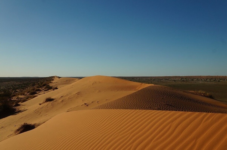 Big Red is the tallest of the 1140 dunes that stretch their way from the Simpson Desert. It's also on the edge of the desert, so you can visit Big Red without having to equip your car for the desert. (Regulations state that if you are going into the desert you must have flags on your vehicle.)
The best time to be here is either sunrise or sunset so you can see the colours change on the dune. I choose sunset, and took a bottle of wine with me.
#nationalpark
Read more: http://pegsontheline.com/big-red/