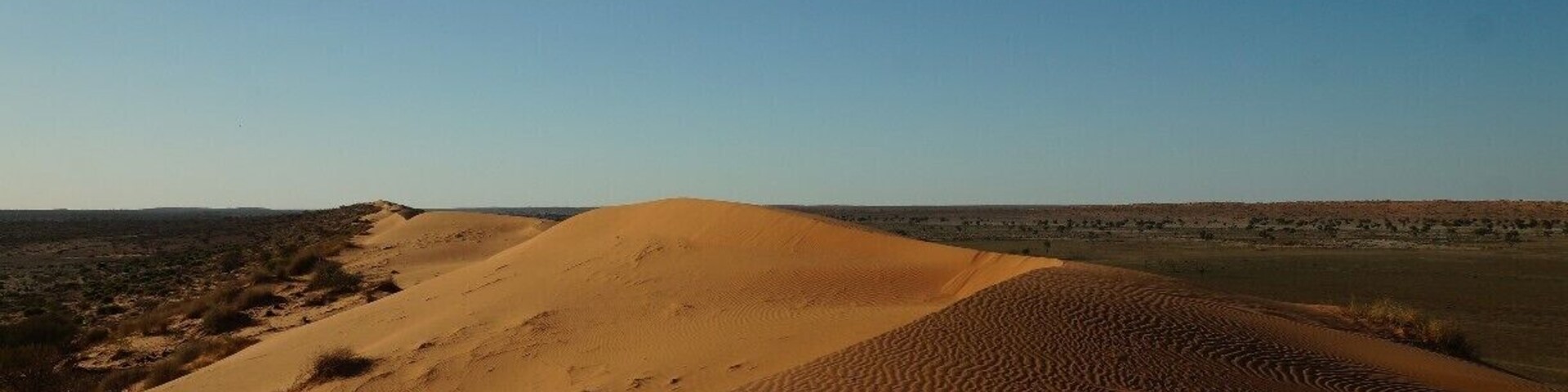 Big Red is the tallest of the 1140 dunes that stretch their way from the Simpson Desert. It's also on the edge of the desert, so you can visit Big Red without having to equip your car for the desert. (Regulations state that if you are going into the desert you must have flags on your vehicle.)
The best time to be here is either sunrise or sunset so you can see the colours change on the dune. I choose sunset, and took a bottle of wine with me.
#nationalpark
Read more: http://pegsontheline.com/big-red/