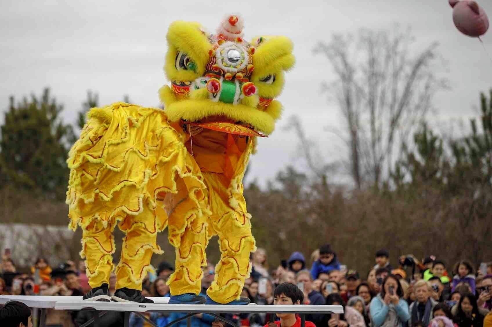 Celebrating Lunar New Year with the Lion Dance.