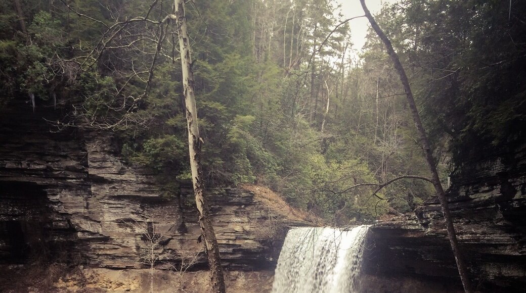 Amazing waterfall with a blue hole for swimming located near Stone Door in Gulf Savage State Park. Nice hike but was a little tricky after a recent ice storm. Hike a little further up and there's another set of falls and a swinging bridge. All this found in the Cumberland Gap in TN, believed to be created from a meteor a bazillion years or so ago!