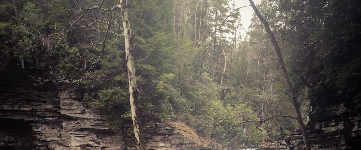 A waterfall cascading into a clear pool surrounded by rocky cliffs and dense forest.