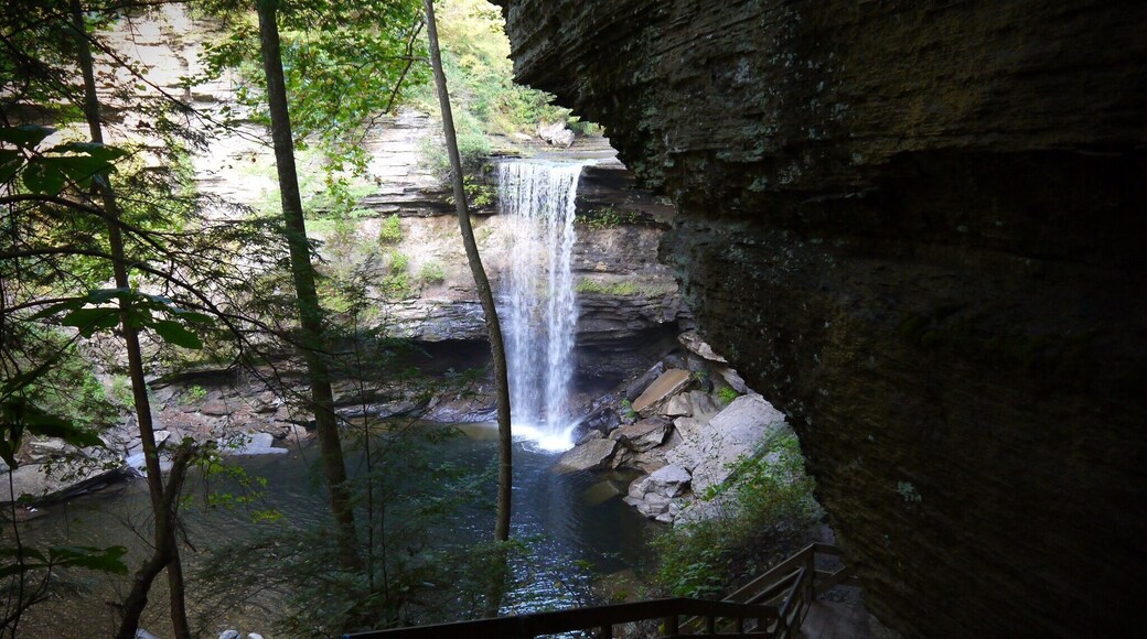 Lower Greeter Falls. My favorite waterfall in the Savage Gulf Natural Area.