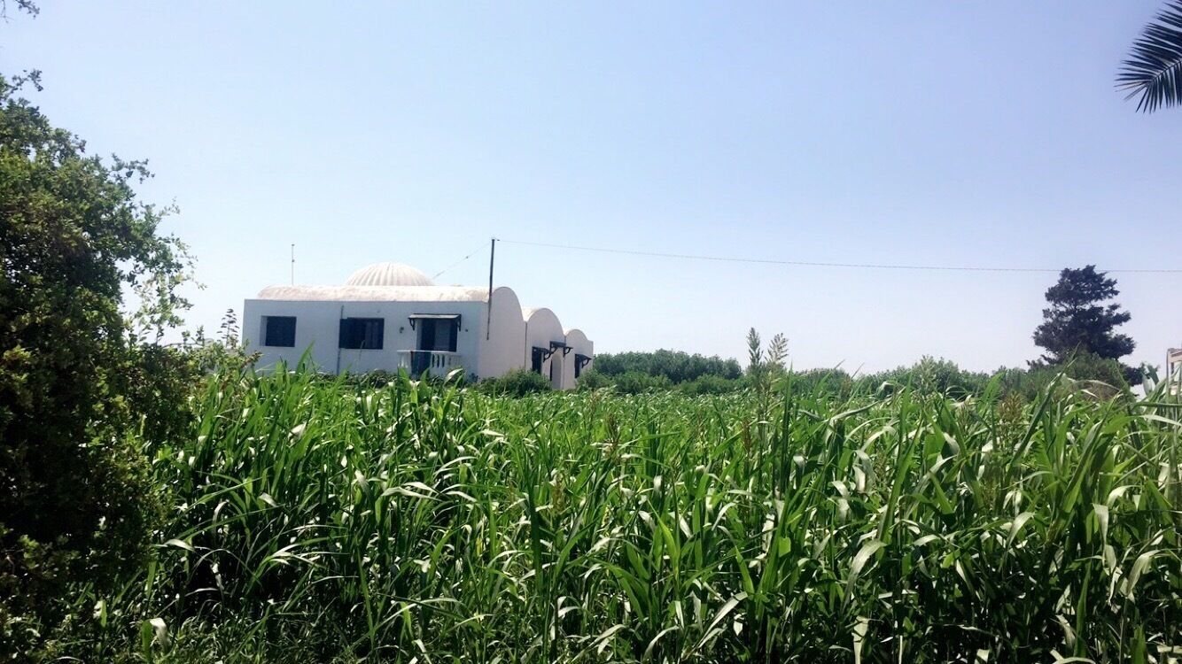 A white building with a dome, surrounded by lush green fields.