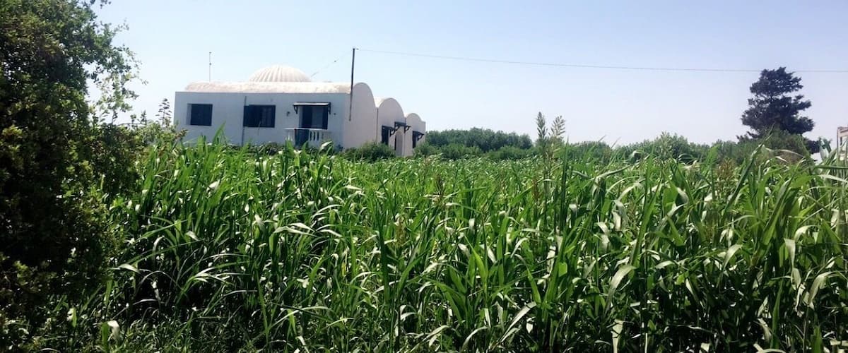 A white building with a dome, surrounded by lush green fields.