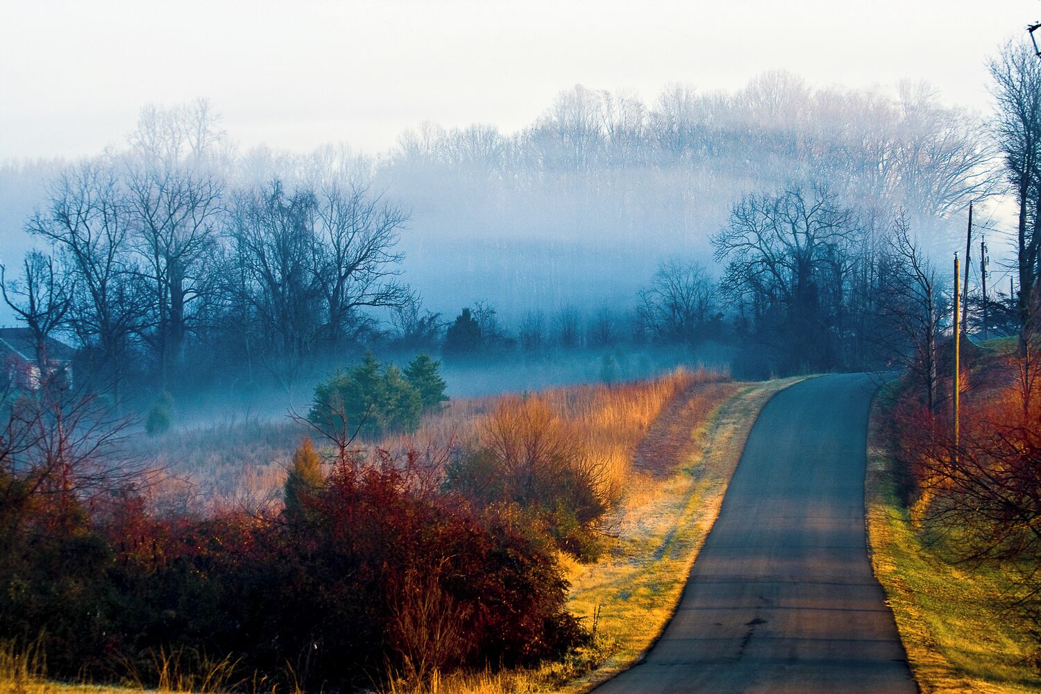 Country road Morning Fug Warrenton VA