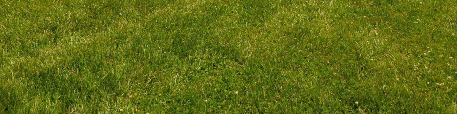 This cross was envisioned in the nineteen-thirties as a non-denominational landmark for community praise. From this spot one can easily see Illinois, Missouri and Kentucky