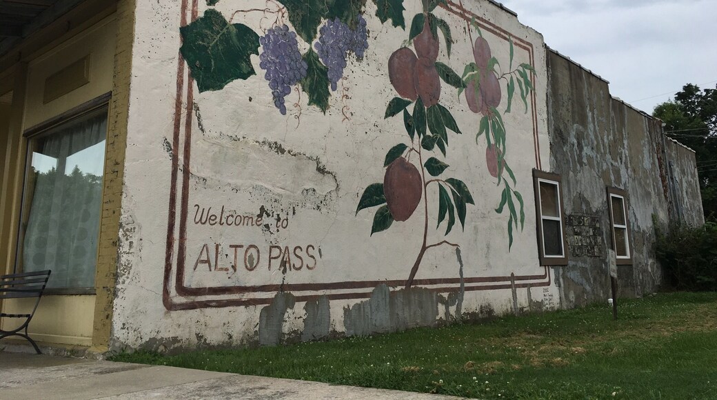 Southern Illinois has lots of wineries and wine trails 🍷