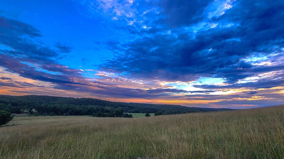 A field with tall grass and a cloudy sky.