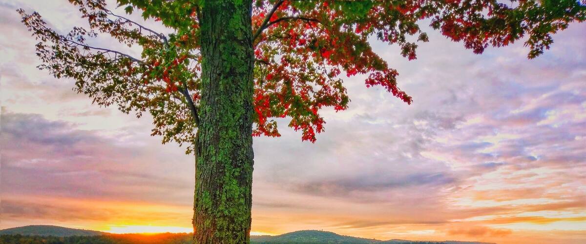 Sunrise and fall colors from a private property on Alton bay