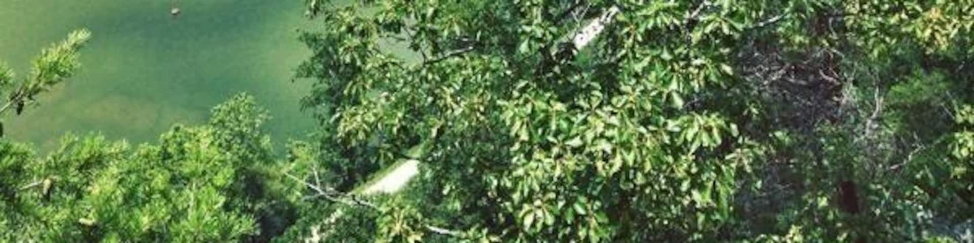 #takeahike Potomac River from up above