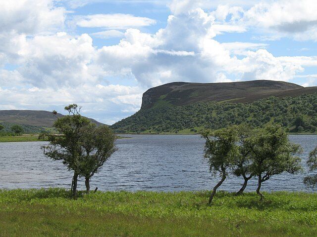 A lake with two trees in the foreground, a hill in the background, and a partly cloudy sky.