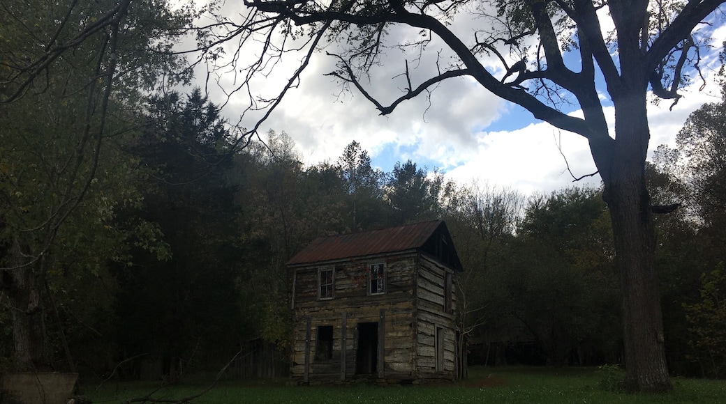 She’s been standing far off the road as far as I can remember. As I child I always wanted to stop, as an adult I finally did ❤️