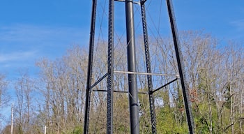 When I am near anything that is advertised as "The World's Largest" anything I have to go by and take a look. In this case it is the World's Largest Catsup Bottle.