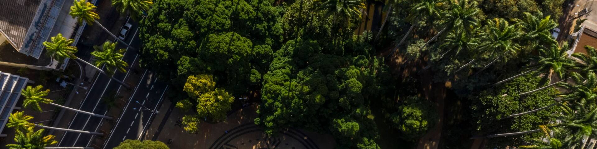 Carlos Gomes Square seen from above in Campinas, Sao Paulo, Brazil