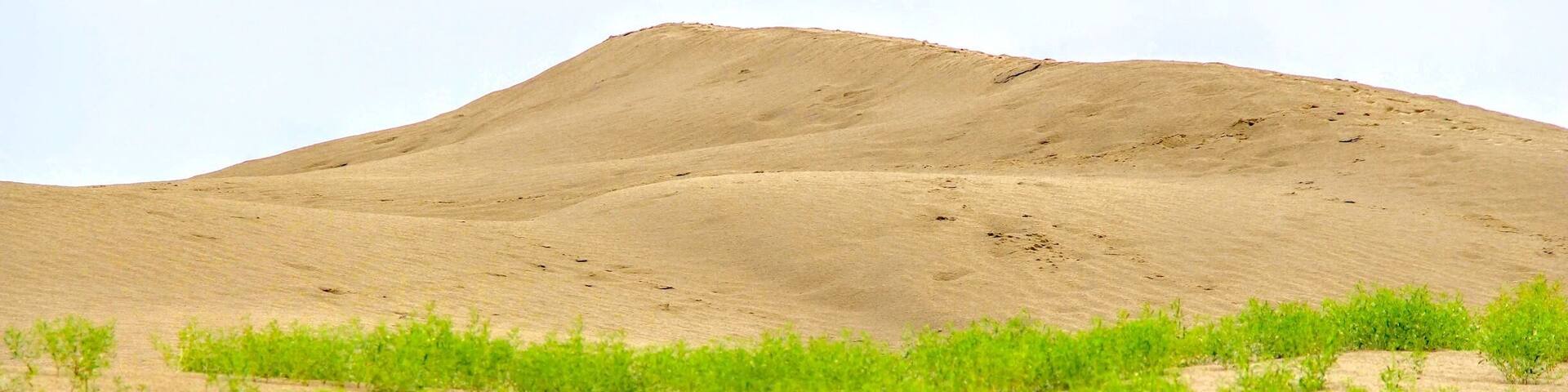 Sand hills in Saskatchewan. I love desert and sand!!