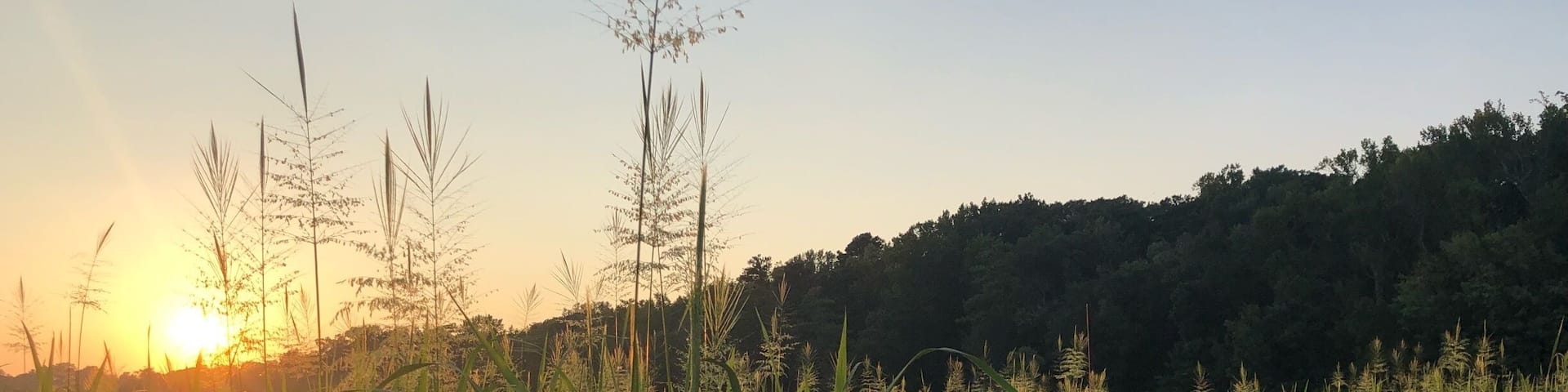 Floating Sidewalk trail