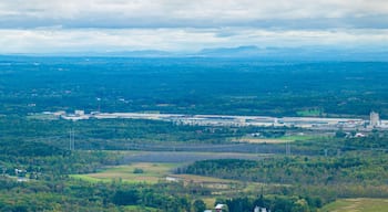Colonie