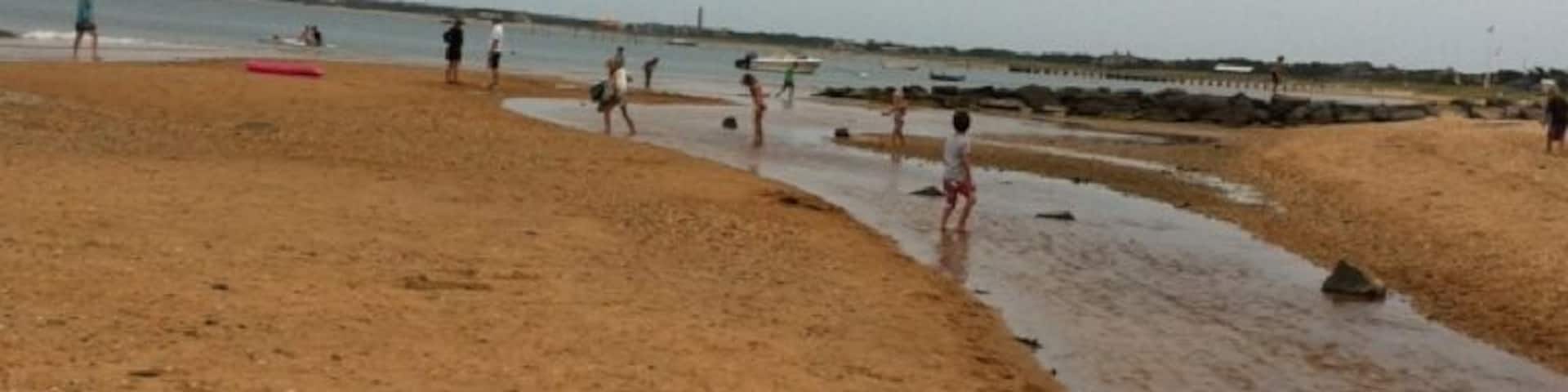 Great gentle beach to come to with little kids. Bring nets to catch guppies and crabs.