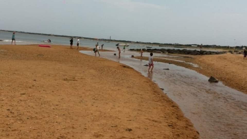 Great gentle beach to come to with little kids. Bring nets to catch guppies and crabs.