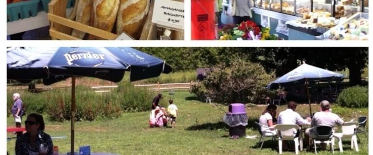Un mercado de agricultores con un cartel que dice "Amagansett Farmers Market", exhibiciones de pan, girasoles y gente sentada en mesas.