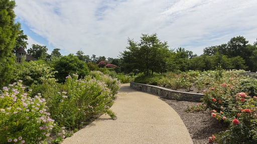 Lewis Ginter Botanical Garden in Richmond, Virginia, USA