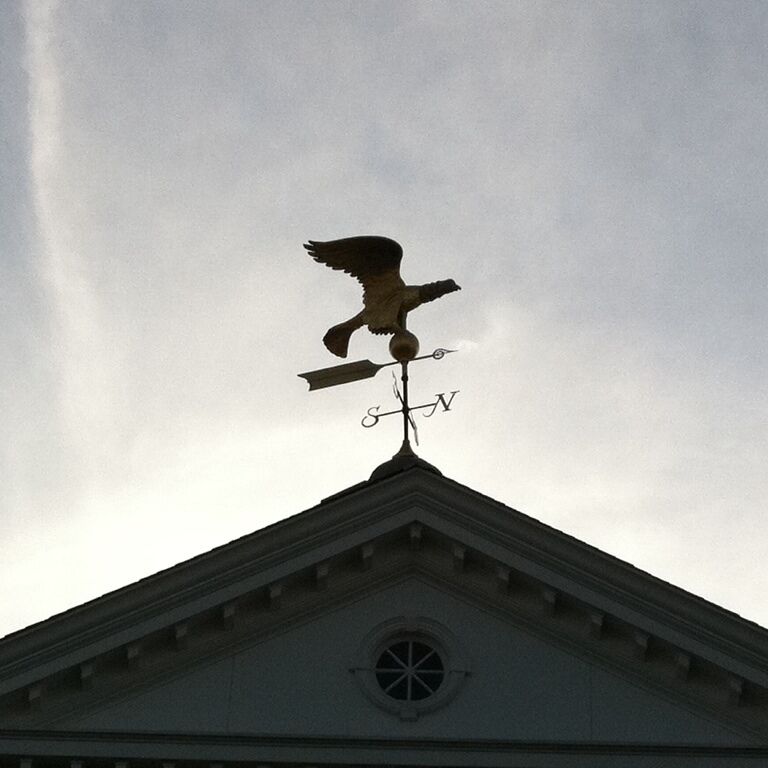 Haven't seen one like this in a long time...