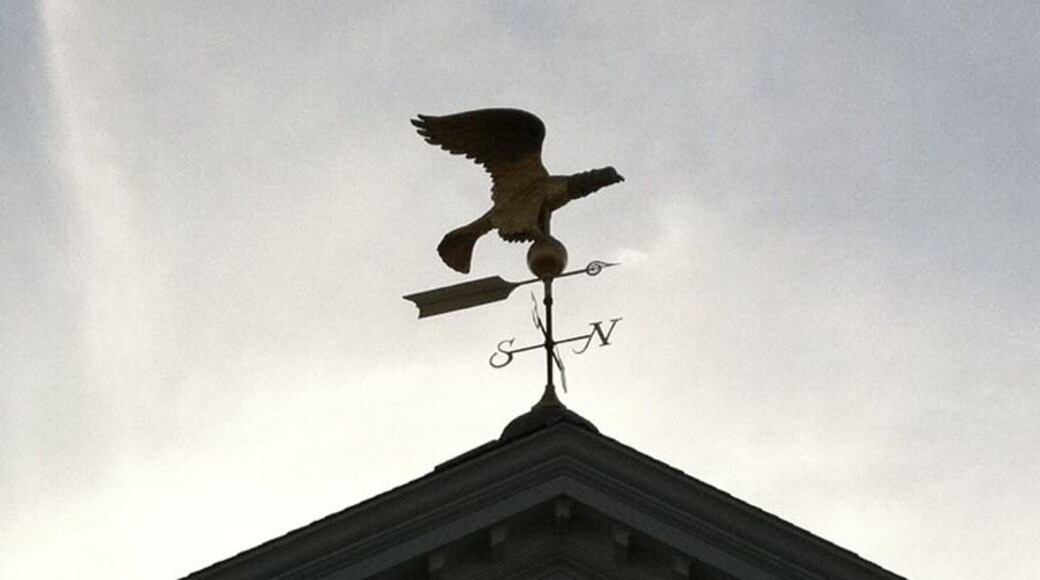 Haven't seen one like this in a long time...