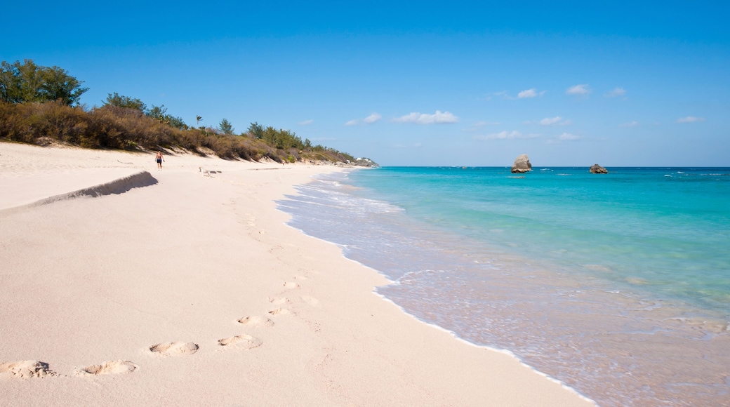 Warwick Long Bay, Jobson's Cove, Bermuda