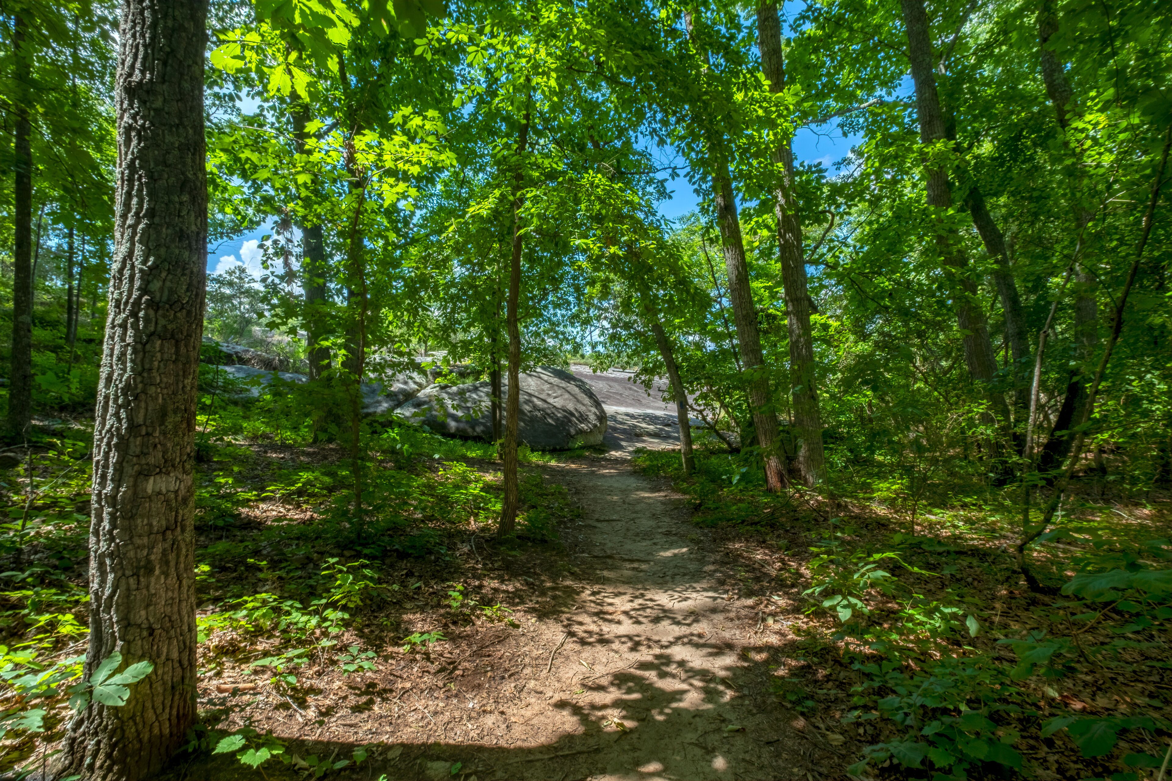 Mountain View Trail, Arabia Mountain, Georgia, USA	
