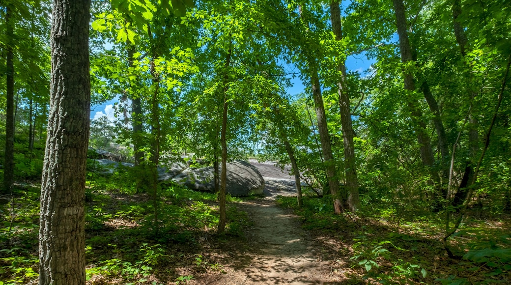 Mountain View Trail, Arabia Mountain, Georgia, USA