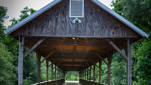 A wooden, covered bridge with green trees in the background.