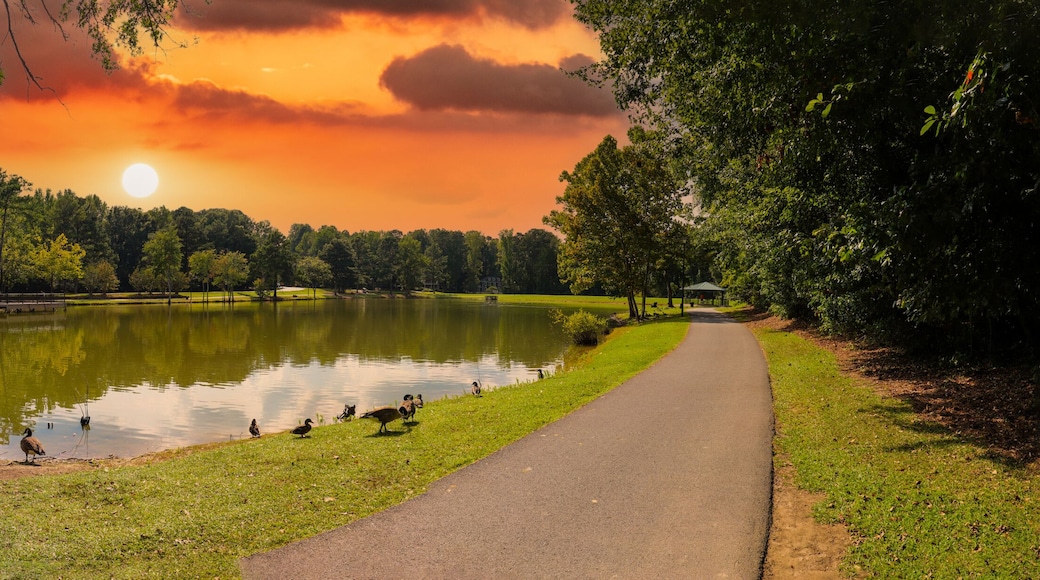 a stunning panoramic shot of vast silky green lake water surrounded by lush green trees with mallard ducks and geese and powerful clouds in the sky at Huddleston Pond Park in Peachtree City, Georgia