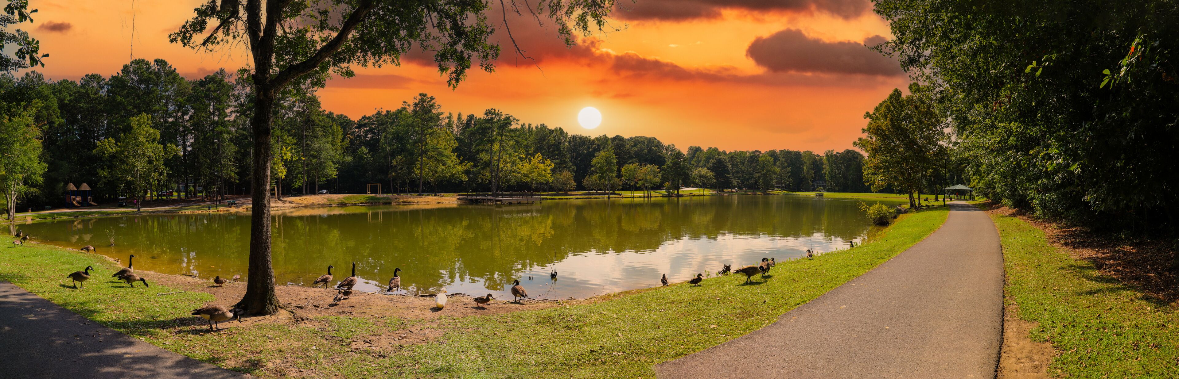 A serene park with a pond, a walking path, and a sunset in the background.