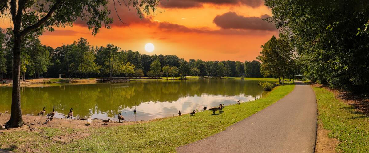 A serene park with a pond, a walking path, and a sunset in the background.